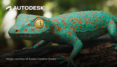 Elevate your rendering capabilities with Challenge Systems, Inc.'s Autodesk Arnold. Explore advanced rendering software solutions, empowering artists and designers to achieve stunning visual effects and lifelike imagery.
