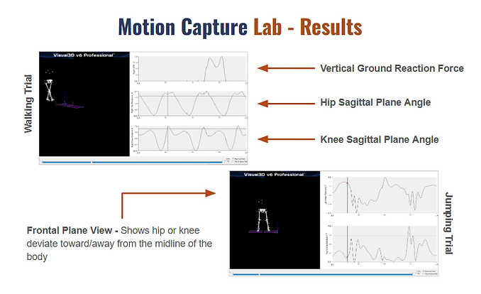 Motion Capture.png