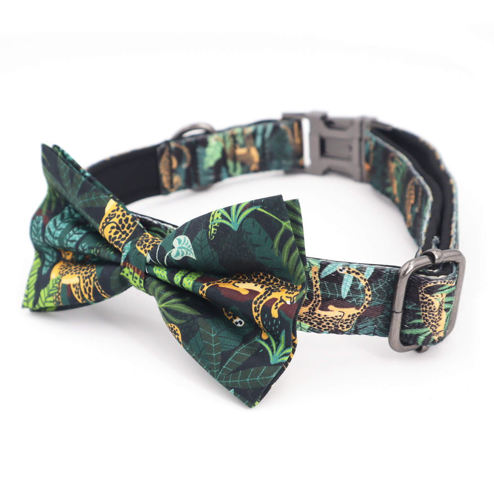 Thumbnail: Jungle/Leopard Collar, Bow & Lead Set