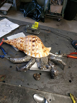 331466522_585030139875465_9131275262173956772_n