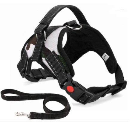 Thumbnail: Top Handle Harness and Lead Set