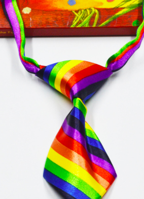 Thumbnail: Small Dog Neck Tie