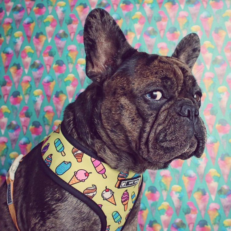 Thumbnail: Yellow Ice-cream Harness Set