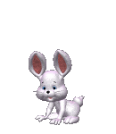 заяц.gif