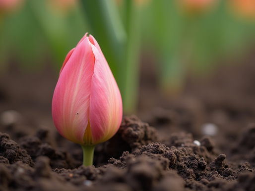 Mystery of Flower Bulbs: What Could Be Eating Them?