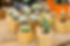 Cactus Collection
