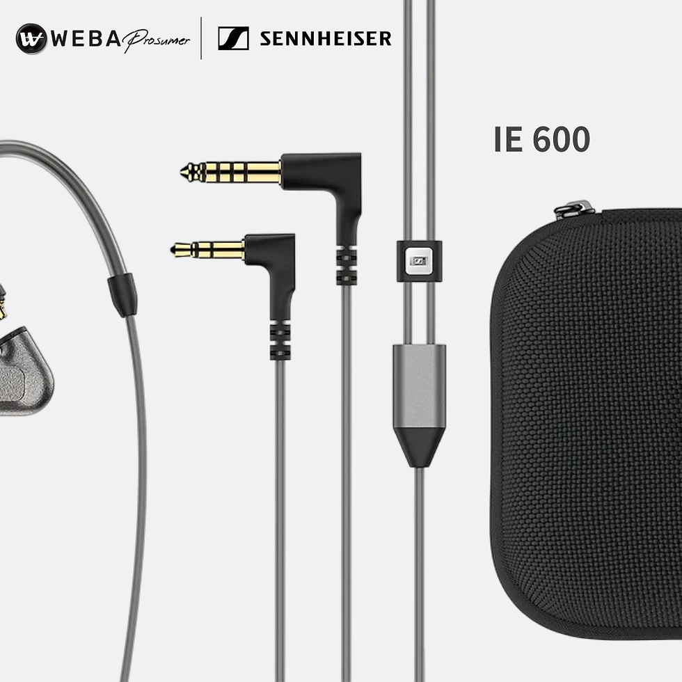 Thumbnail: Sennheiser IE 600 發燒級Hi-Fi入耳式耳機