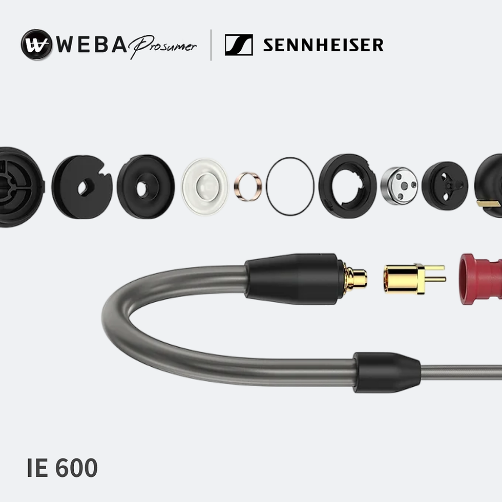 Thumbnail: Sennheiser IE 600 發燒級Hi-Fi入耳式耳機
