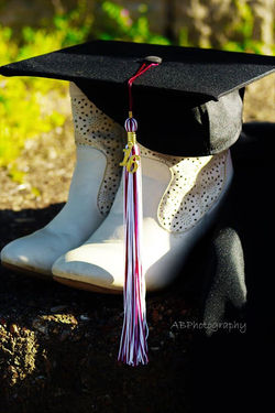 13123344_262716870743338_2651864881422879999_o