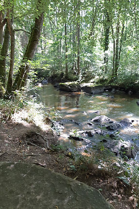 20230808_150901.jpg