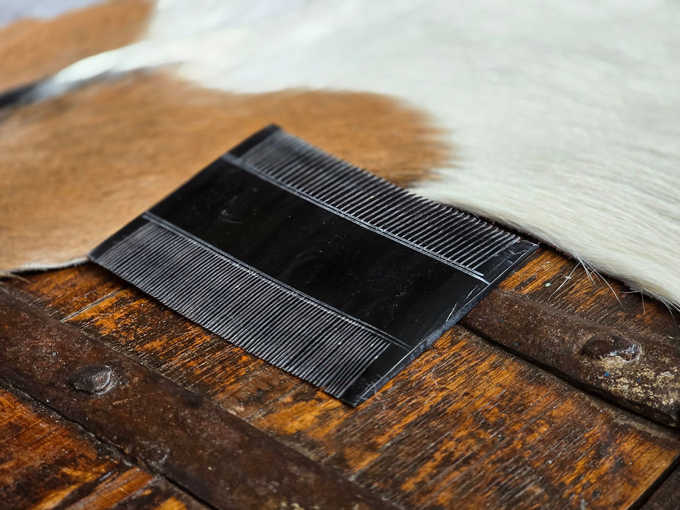 Thumbnail: Double-sided Comb Horn