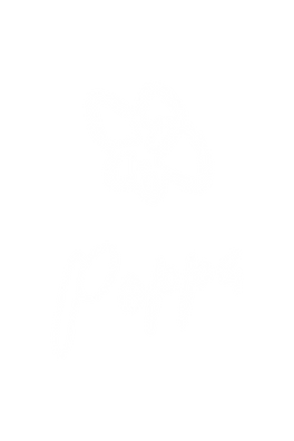 LOGO FINAL POPPA.png