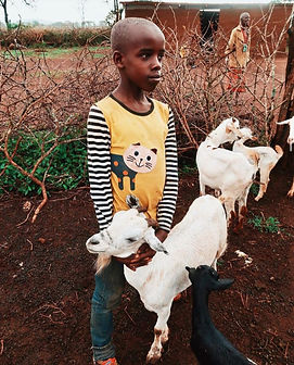 WhatsApp Image 2022-06-09 at 22.58.45 (1).jpeg