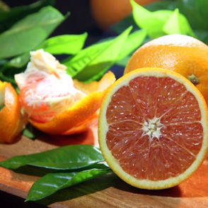 laranja-melhorada-geneticamente.jpeg