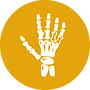 icono-apio_1.png