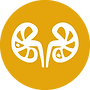 icono-perejil_1.png