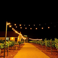 outdoor night lights in wine valley.jpg