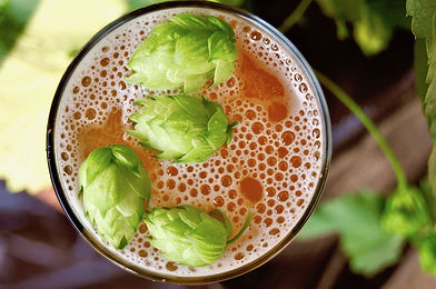 hoppy beer.jpg
