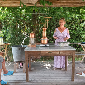 Estrazione Oli Essenziali Oligea presso Il Giardino di Manipura
