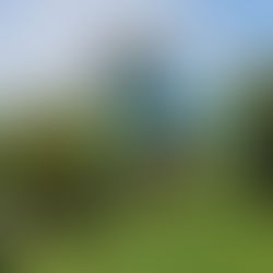 Eventi di Gennaio presso Il Giardino di Manipura