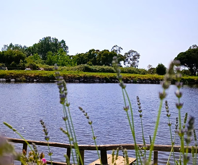 WhatsApp Image 2023-08-29 at 10.25_edited.jpg