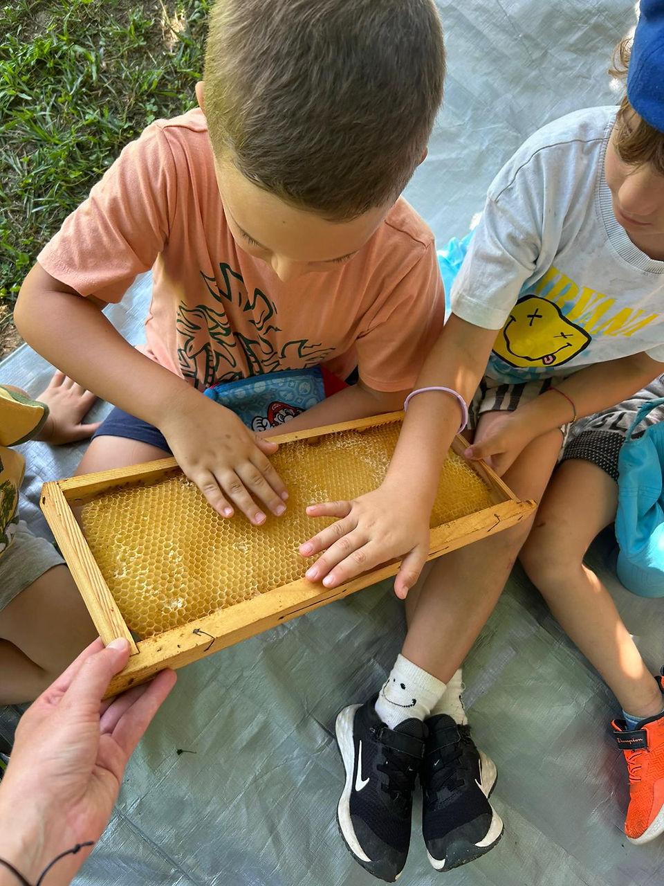 attività per famiglie in versilia