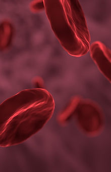 red-blood-cells-3188223_1920 editado.jpg