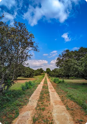 Avaana Estates — flourishing farmland