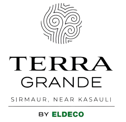 Terra Grande
