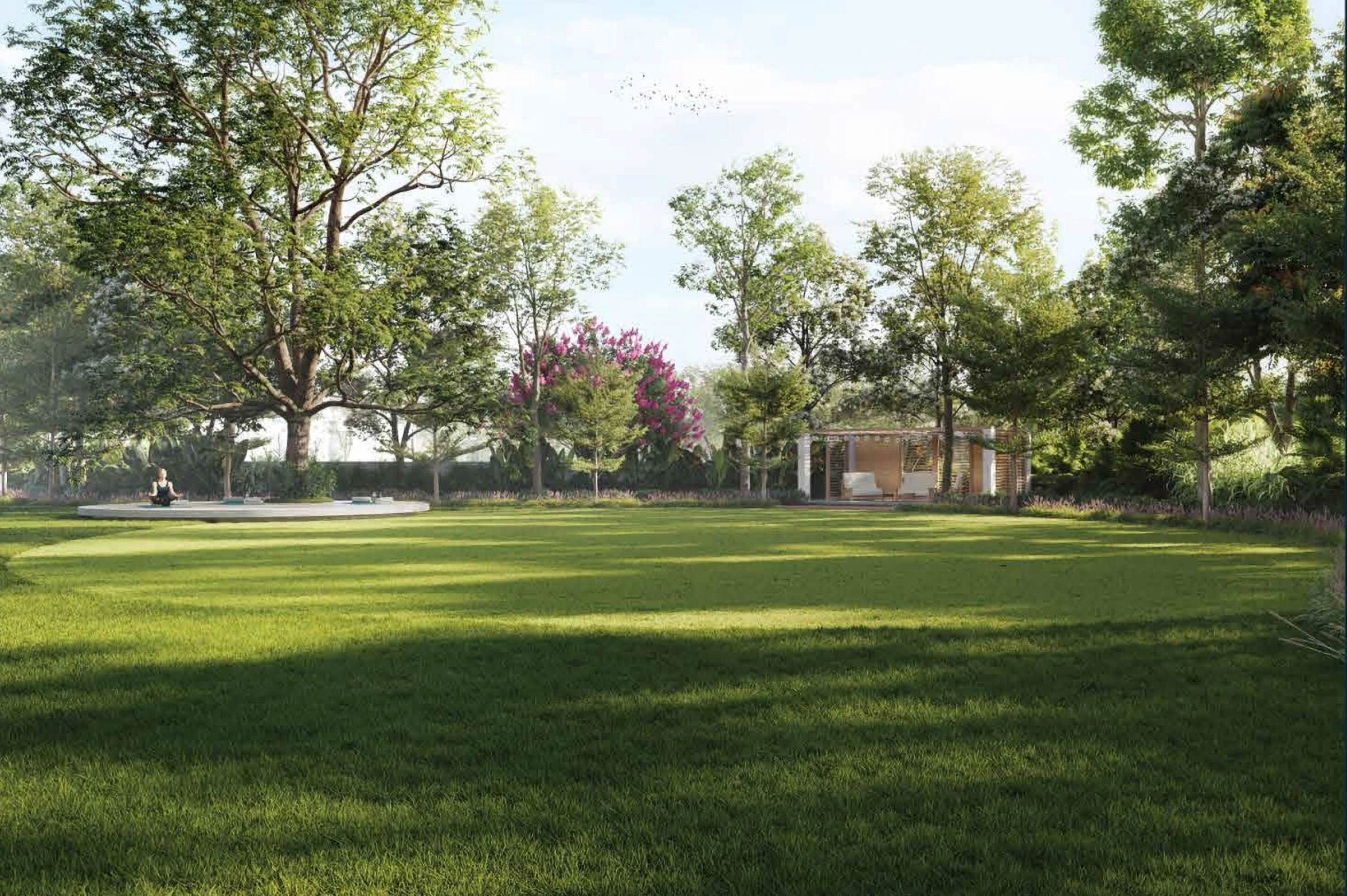 Leisure Lawn