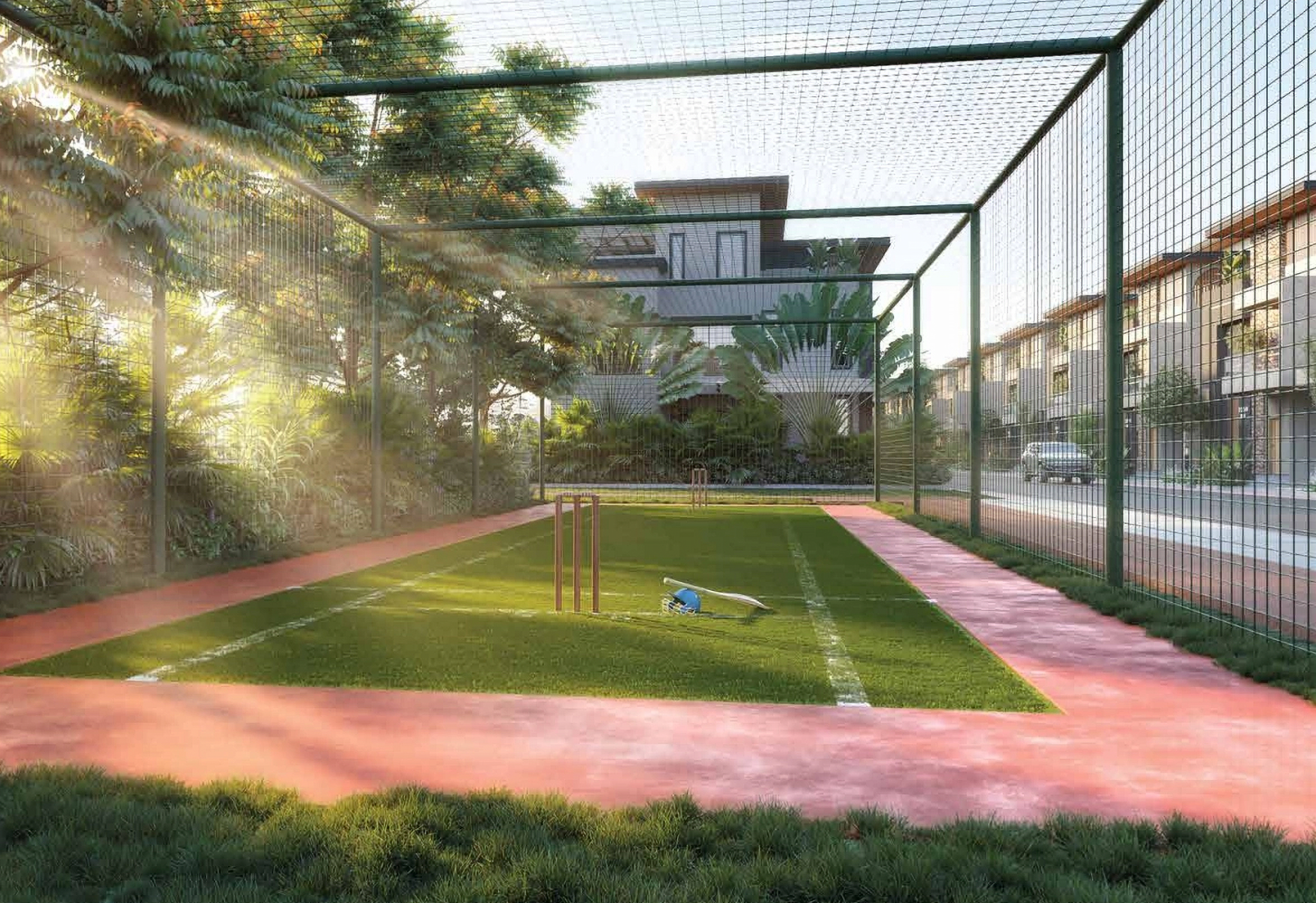 Cricket Pitch