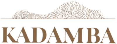 Kadamba