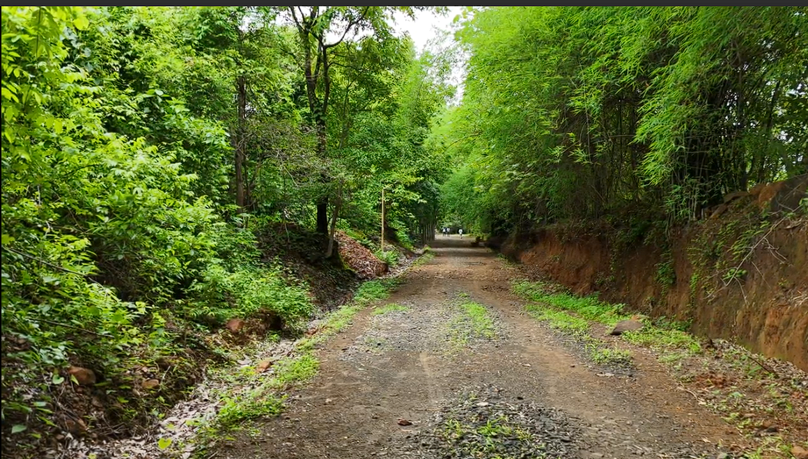 Nature & Heritage Trails