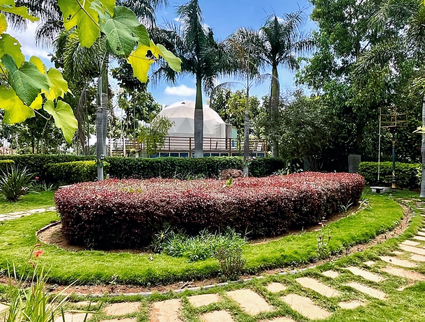 Stepping stone garden path lined with palm trees at Thathachimanai, near Bangalore