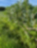 image0 (3).jpeg
