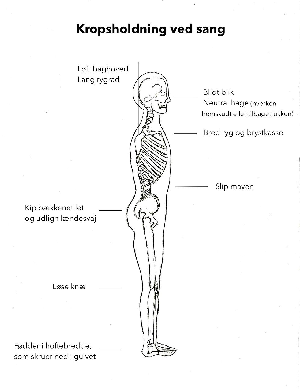 kropsholdning ved sang