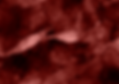 wt colmchr 1 4hs3d 40x 2-7-25 mip 75x75um_s_475-336.tif
