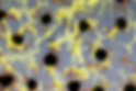 theme2_image1.tif