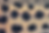 theme1_image2.tif