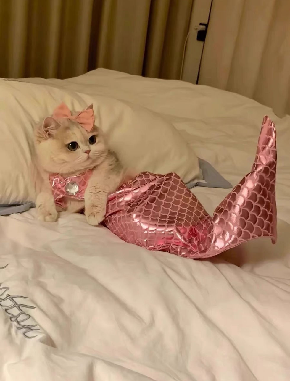 Thumbnail: Mermaid Pet