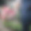 Thumbnail: Wedding Flower Package   結婚花球套餐