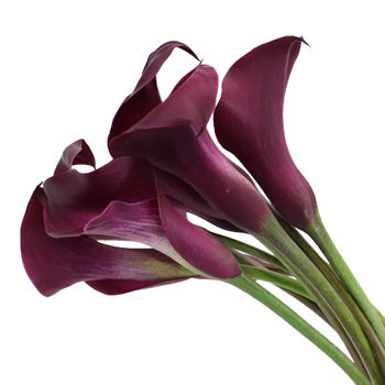 Thumbnail: Calla Lily Bridal Bouquet 結婚花球