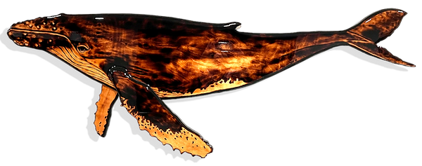 WHALESITE.png