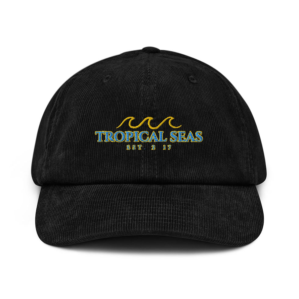 Miniatura: Triple Wave Corduroy Hat