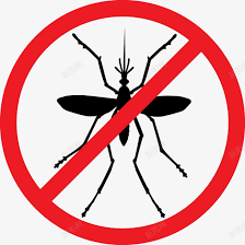 Chikungunya's Resurgence: A Global Health Threat—and the Imperative of Vaccination