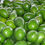 Thumbnail: Large Green African Avocados per Kg