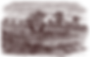 ree