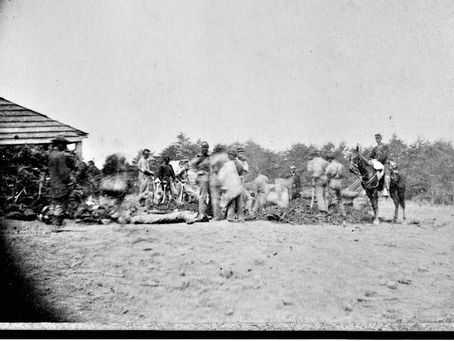 John and Margaret Plyler, Siblings and Southern Soldiers