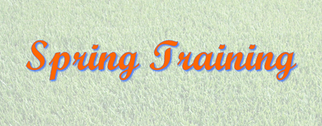 Spring Training