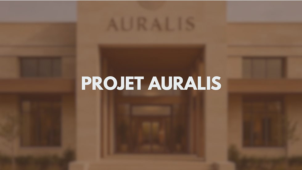 Stratégie de développement d'un centre de bien être immersif